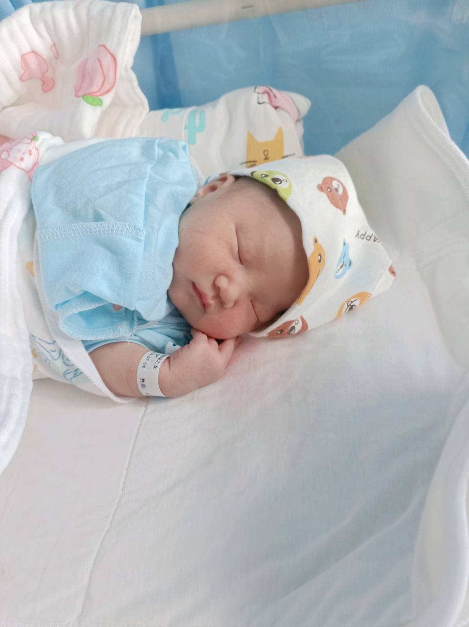 文宜程新生儿照片